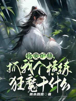 你要炉鼎 你要炉鼎