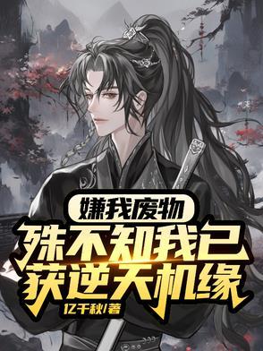 混沌灵根的 混沌灵根的