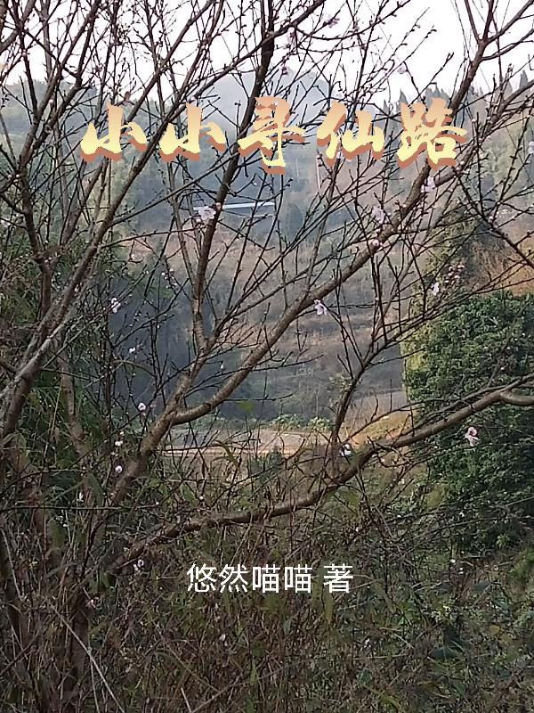 小小寻仙路有男主吗 小小寻仙路有男主吗