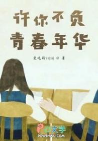 不负青春年华歌曲