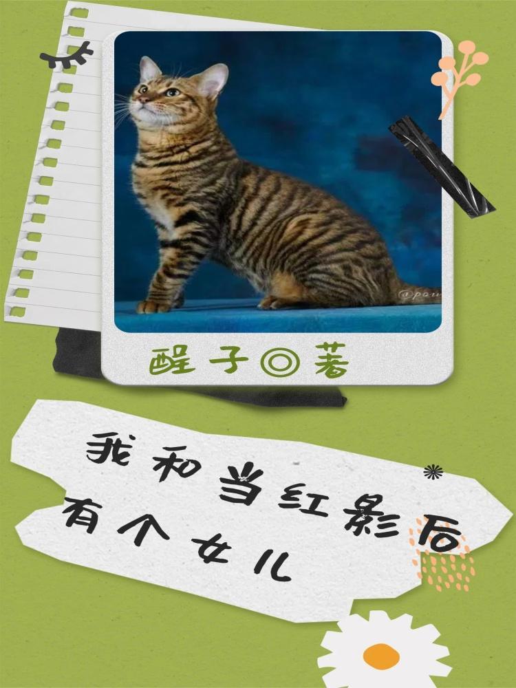 我和影后有个约会txt 我和影后有个约会txt