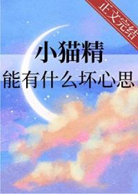 小猫精灵聪明 小猫精灵聪明