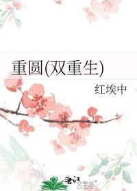 重圆(双重生)红埃中讲的什么 重圆(双重生)红埃中讲的什么
