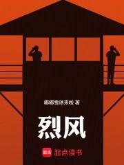 烈风剑翼vs天穹霸主 烈风剑翼vs天穹霸主