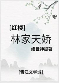 红楼之林家小弟番外 红楼之林家小弟番外