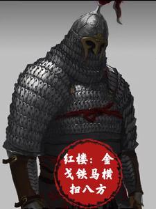 红楼金戈铁马横扫八方全文阅读 红楼金戈铁马横扫八方全文阅读