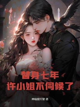 替身不替心许念沈天承 替身不替心许念沈天承