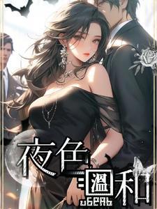 夜色温柔的简介 夜色温柔的简介