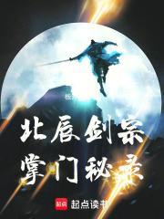 北辰剑宗掌门秘录免费阅读 北辰剑宗掌门秘录免费阅读