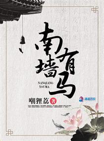 南墙是啥 南墙是啥