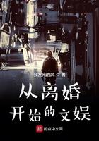 从离婚开始的文娱TXT奇书网 从离婚开始的文娱TXT奇书网