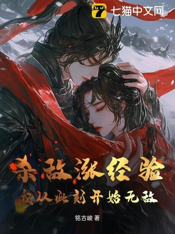 杀敌无数下句 杀敌无数下句