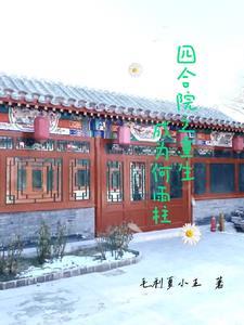 四合院之重生成为何雨柱毛利 四合院之重生成为何雨柱毛利
