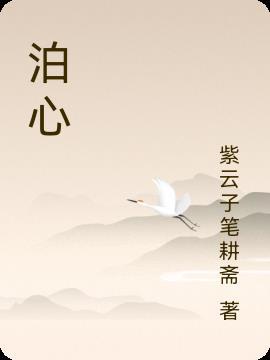 泊心的解释 泊心的解释