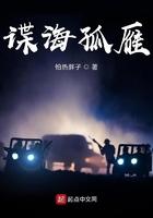 谍海孤魂 谍海孤魂
