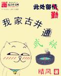 超级古武系统 超级古武系统