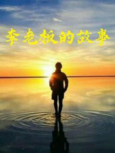 李老板的老板 李老板的老板