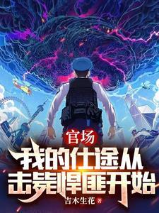 我的官场笔记 我的官场笔记