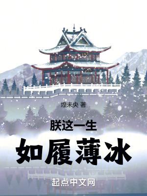 从镇兵到大帝 从镇兵到大帝