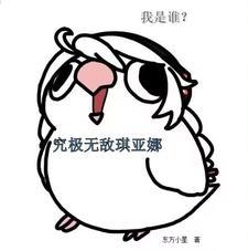 我是谁究极无敌琪亚娜 我是谁究极无敌琪亚娜