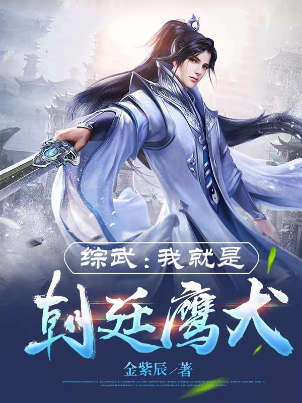 综武我就是朝廷鹰犬全