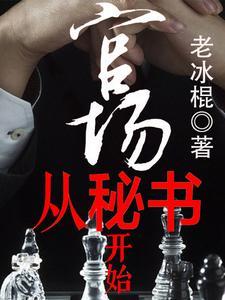 官场入门 官场入门