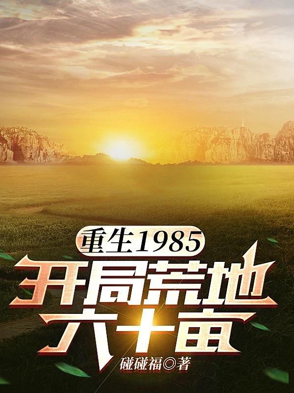 重生1985开局荒地六十亩视频全集 重生1985开局荒地六十亩视频全集