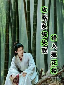 攻略系统笔趣阁 攻略系统笔趣阁
