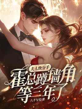 夫人又要离婚 夫人又要离婚