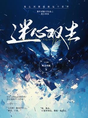 迷蝶双生视界 迷蝶双生视界