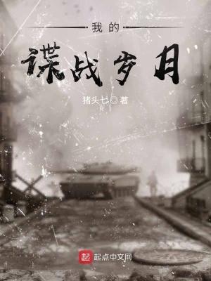 我的谍战岁月完整版免费阅读 我的谍战岁月完整版免费阅读