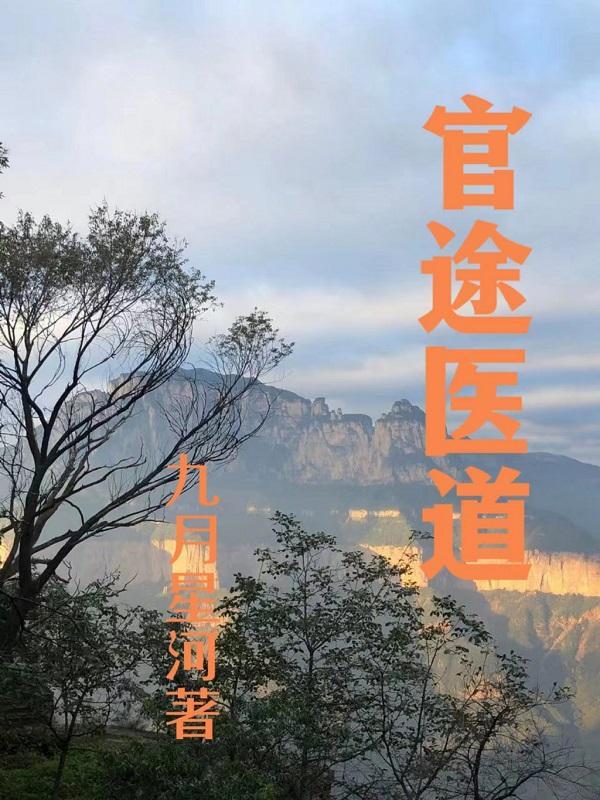 官道医途好看吗 官道医途好看吗