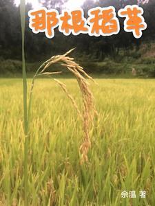 那根稻草 一般是表达什么 那根稻草 一般是表达什么