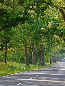 梧桐街属于哪个街道