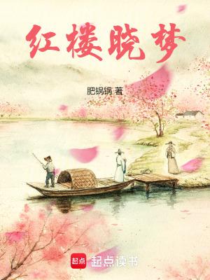 红楼梦林晓旭版本
