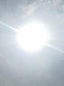 谢家免费阅读 谢家免费阅读