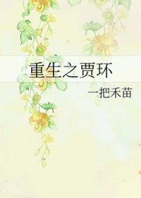 重生之贾环中举 重生之贾环中举