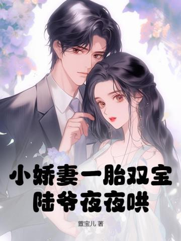 小娇妻一胎双宝陆爷夜夜哄 小娇妻一胎双宝陆爷夜夜哄