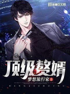顶级赘婿TXT 顶级赘婿TXT