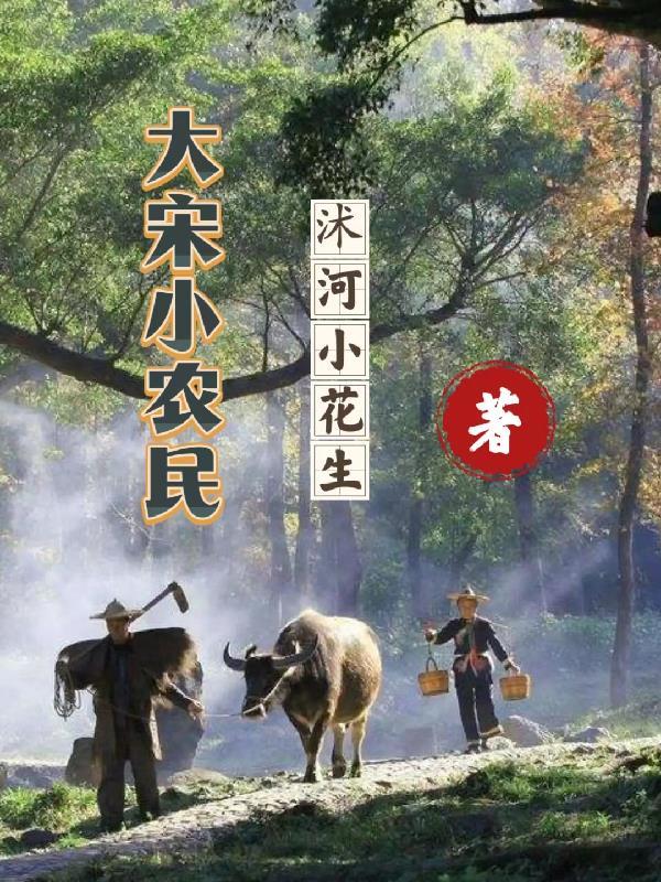 大宋农民服饰 大宋农民服饰