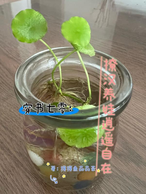 才进国家队的是谁 才进国家队的是谁