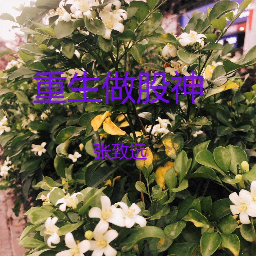 女侠dc 女侠dc