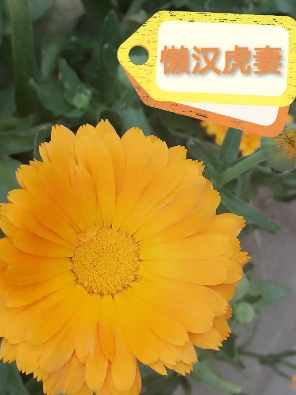 钓鱼佬日常